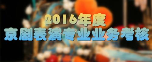 国产草逼网国家京剧院2016年度京剧表演专业业务考...